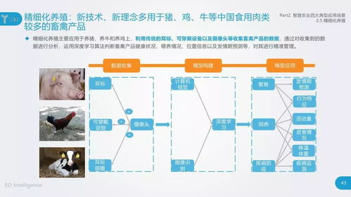物聯網與人工智能技術在農業領域的應用與開發研究